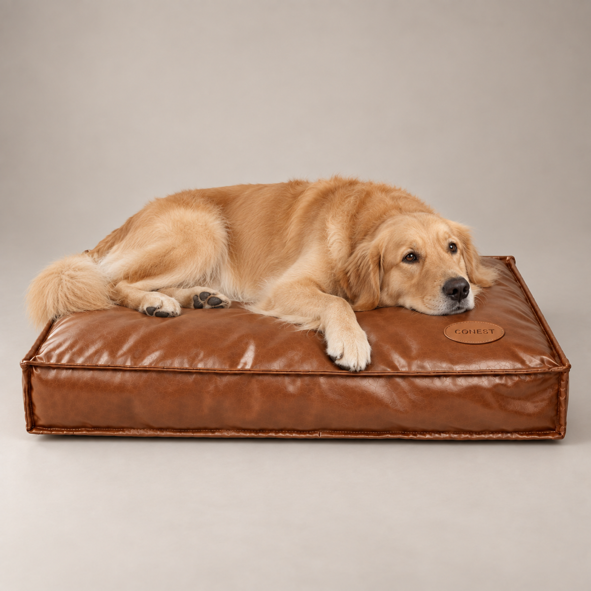 Flip & Flop 2-in-1 Pet Bed