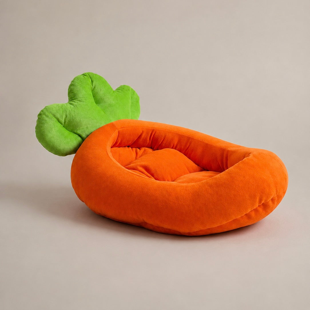 Carrot Couch